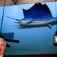 Watch out, Newt (Image: AP)